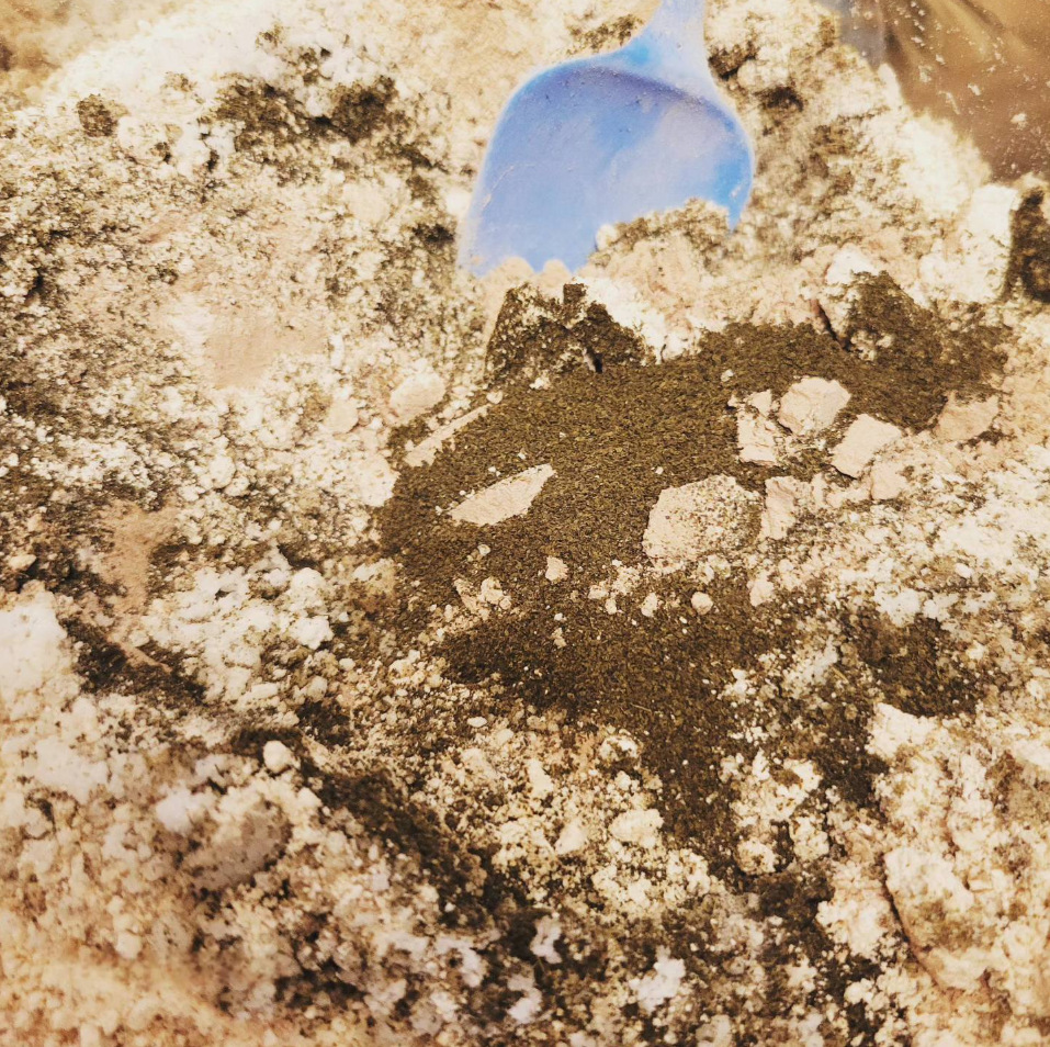 Sea Veil Face Mask w/ Sugar Kelp